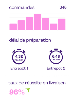 Graphique représentant les commande, délai de préparation et taux de réussite en livraison. Illustration du dashboard e commerce Flowz