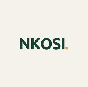 Logo Nkosi Agro